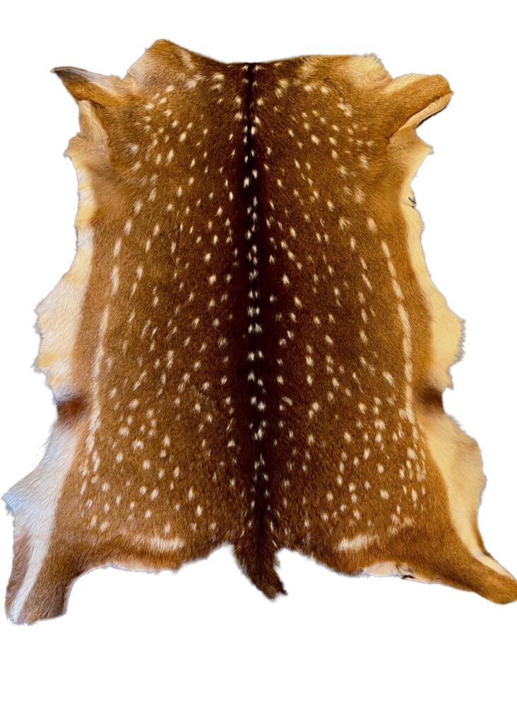 Axis Deer Hides Archives - Traditional Tanners